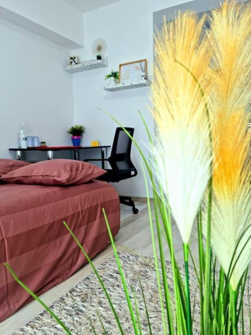 Ultracentral Magheru Studio Leilighet Bucureşti Eksteriør bilde